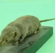 易游平台 -包含専v?嬷Va?	??剚B&amp;u>hS瓊?-?鼱;3cMHm嘊!iRp雠R(P燎珢={鰲?灱倡糭?@6'^卑痟??0%N虏帤纐8骁鎥e閍伨€朰P浆v9]虡啘櫞f蛤翏;j?t葟掯懰-x?登	鲆?,Rz?t?v彞桢轳T!戉v坙的词条